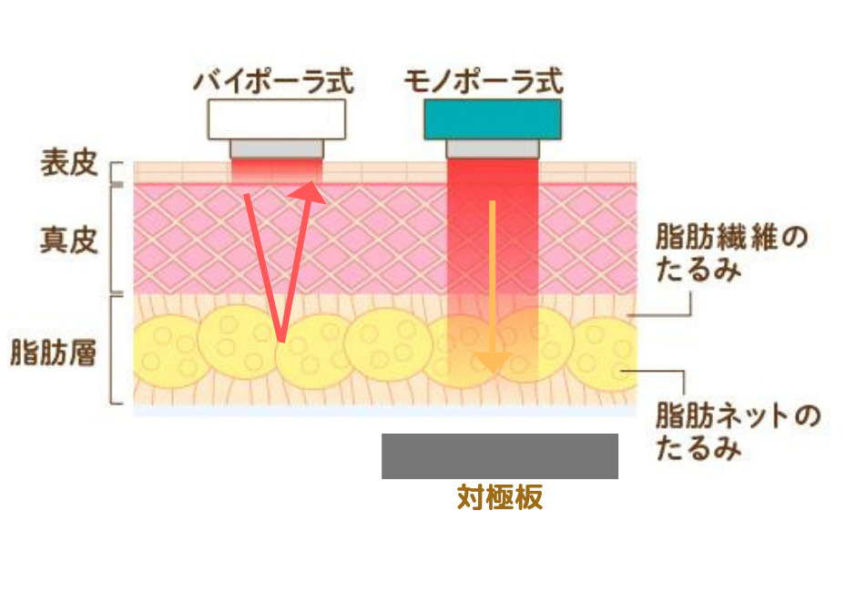 数量は多 セルゼロマックス 美容家電